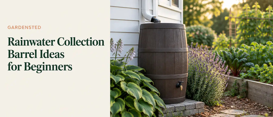 Rainwater collection barrel ideas for beginners: a dark flat-back rain barrel beside a white house wall and garden beds