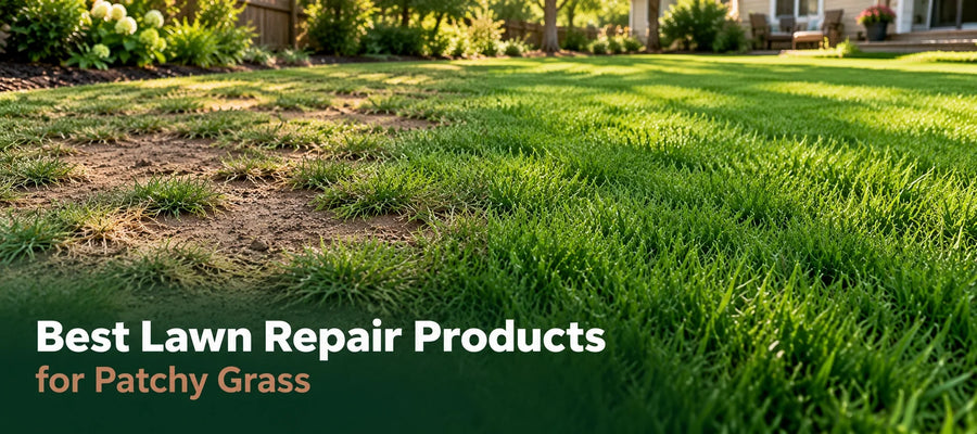 Best Lawn Repair Products for Patchy Grass (And How to Use Them Right)