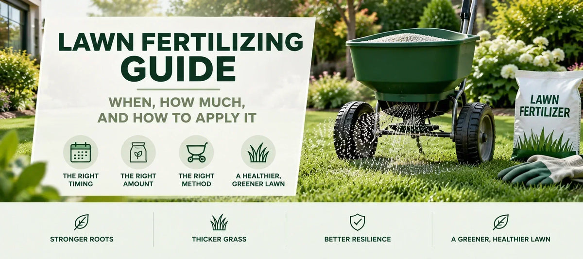 Lawn Fertilizing Guide: When, How Much, and How to Apply It