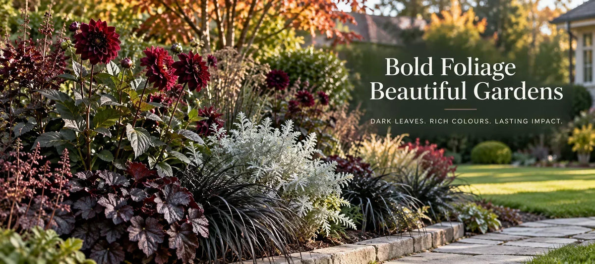 Moody Monochrome Garden Color Palette Ideas