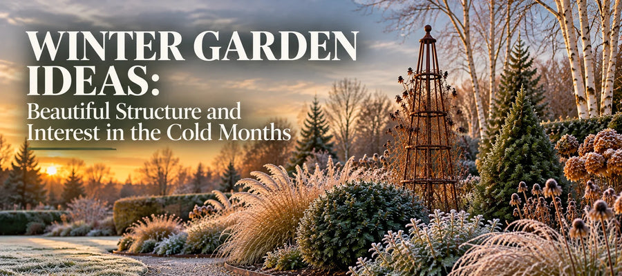 Winter Garden Ideas: Beautiful Structure and Interest in the Cold Months