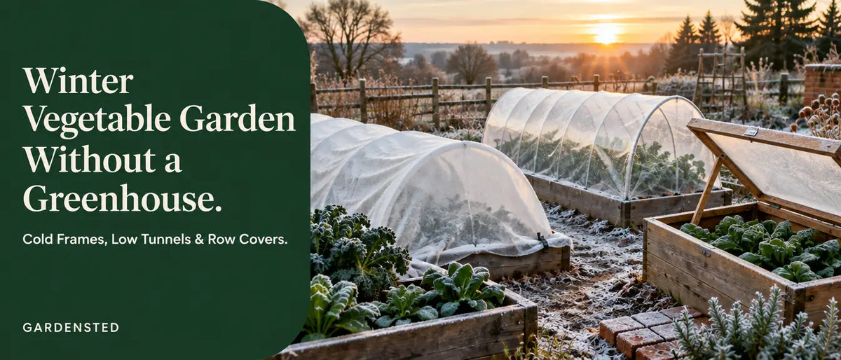 Frosty winter vegetable garden with row cover, a plastic low tunnel and a cold frame, titled Winter Vegetable Garden Without a Greenhouse