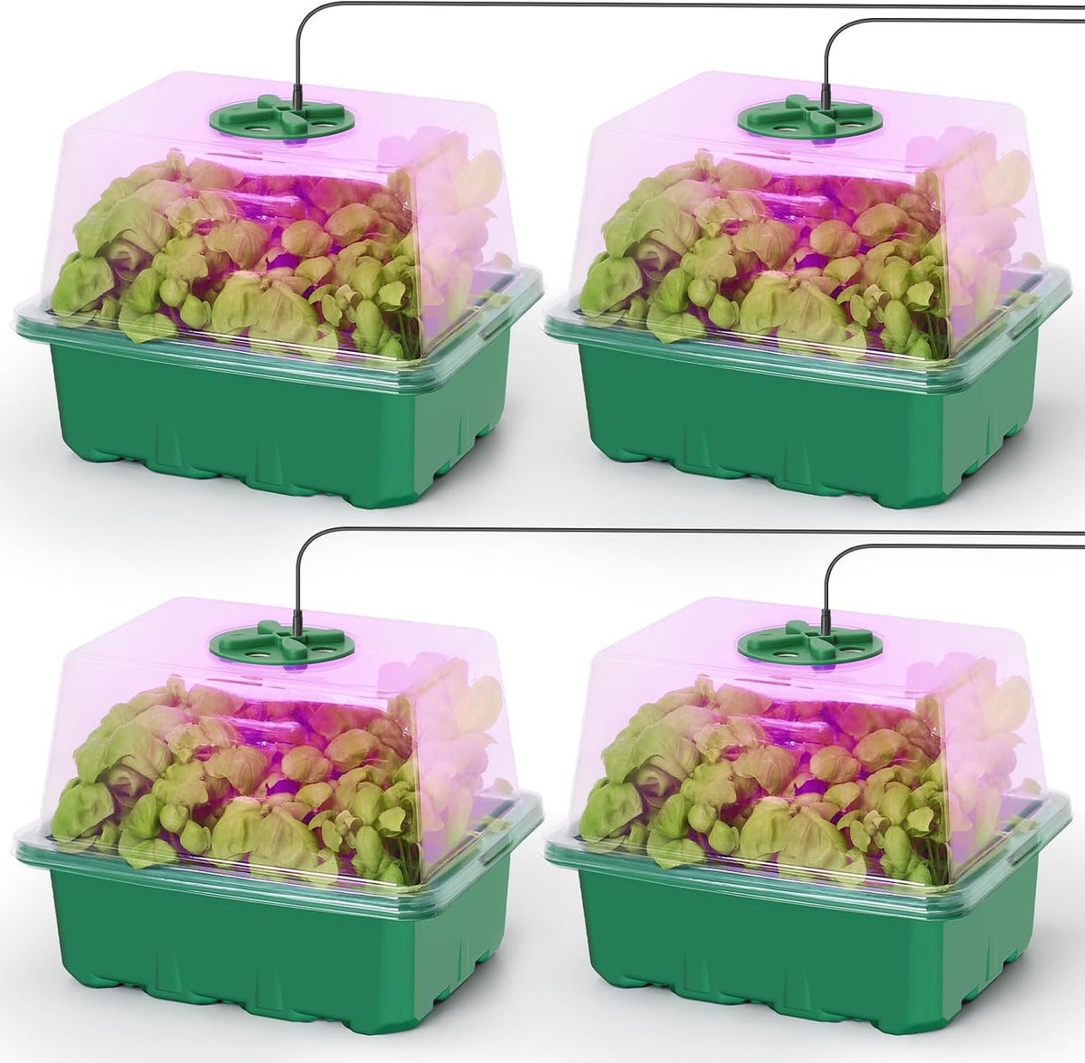 MIXC Seed Starter Kit with Grow Light, 4-Pack