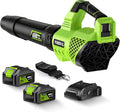 Leaf Blower Cordless, 650CFM Electric Leaf Blowers