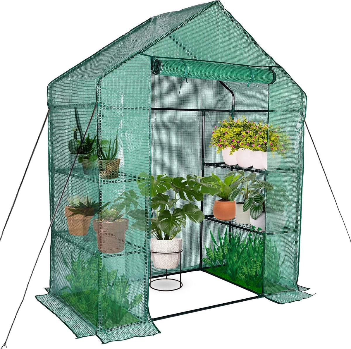 Portable Walk-In Greenhouse, 56x30x76, 3-Tier Shelves