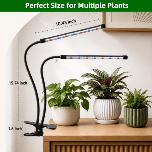 Grow Light,6000K Grow lights (for indoor starts)