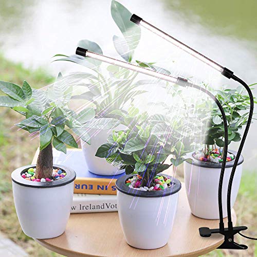Grow Light,6000K Grow lights (for indoor starts)