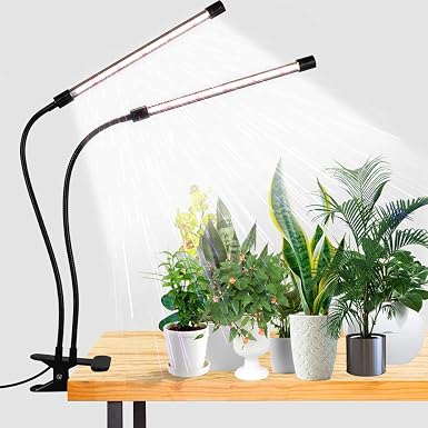 Grow Light,6000K Grow lights (for indoor starts)