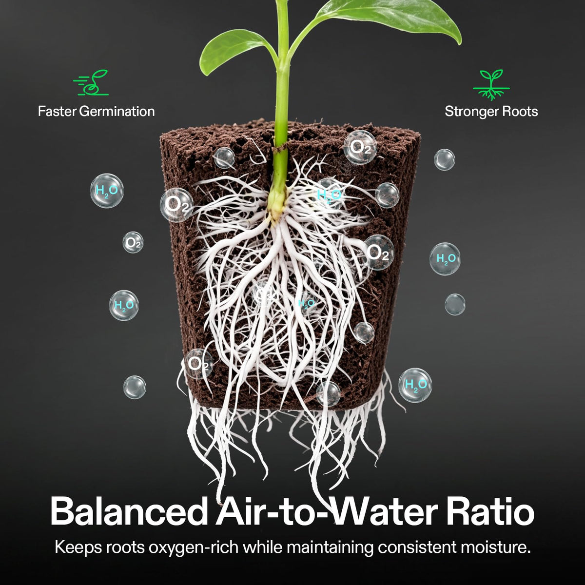 VIVOSUN Seed starting soil/plugs